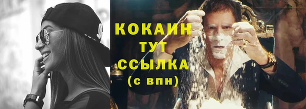дмт Арсеньев