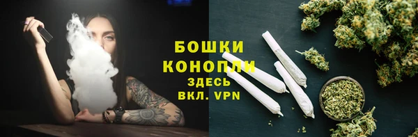 дмт Арсеньев