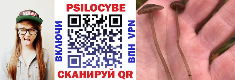 Псилоцибиновые грибы MAGIC MUSHROOMS  Усть-Джегута 